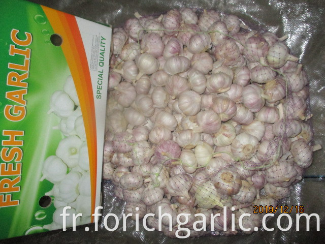 How To Preserve Garlic Bulbs